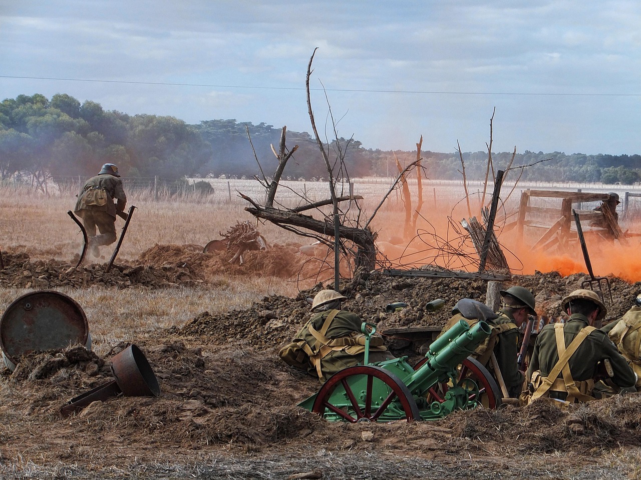 Nature’s Silent Suffering Amidst War’s Devastation